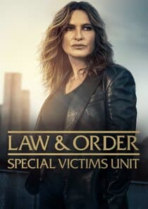 Law & Order: Special Victims Unit poster